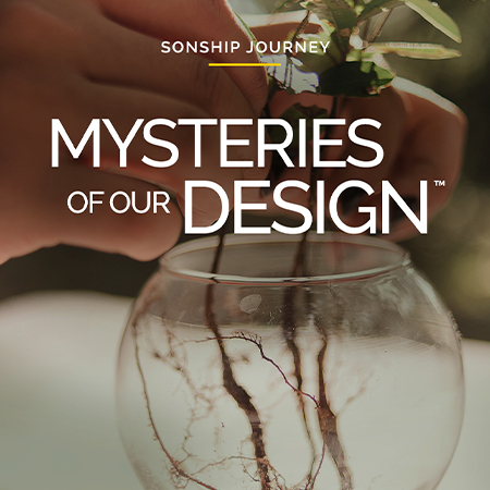 Sonship Journey: Mysteries of Our Design – Enroll
