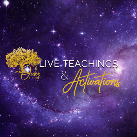 2021 – LIVE Mentorship Activations & Teachings