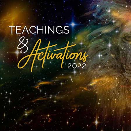 2022 – Live Mentorship Activations & Teachings