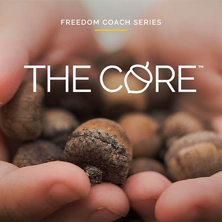 Freedom Coach Series: Core Freedom Coach Certification Course