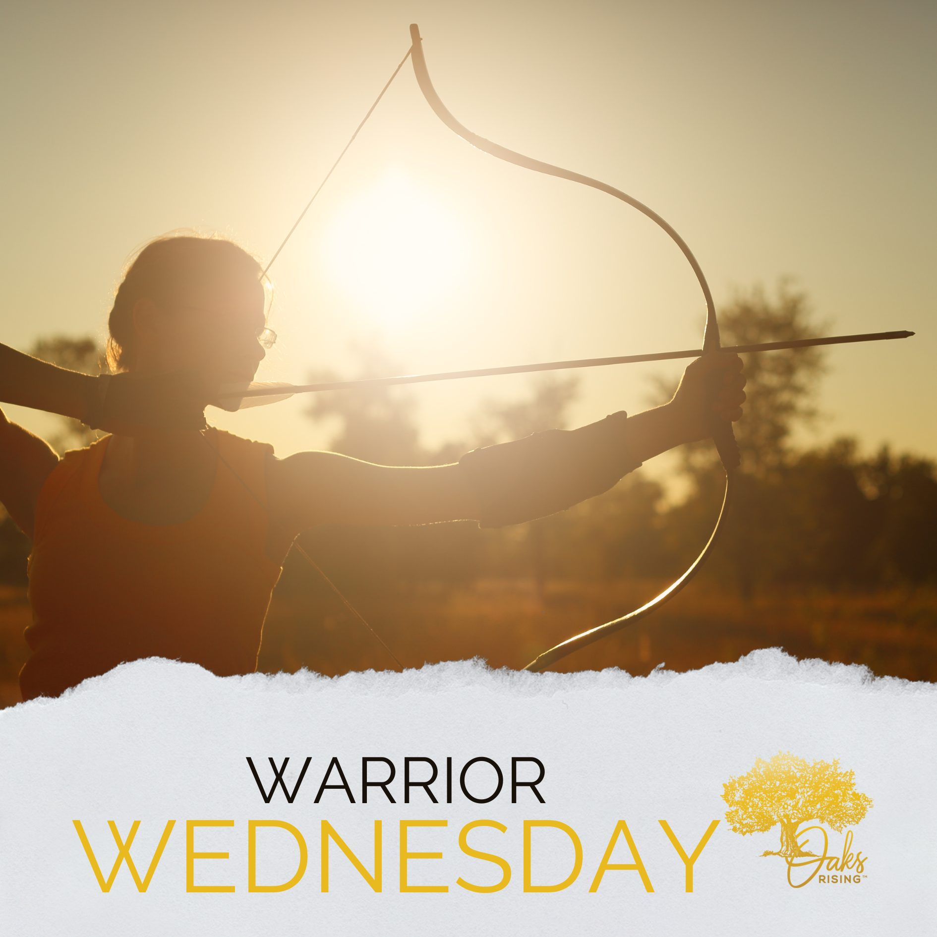 Warrior Wednesday