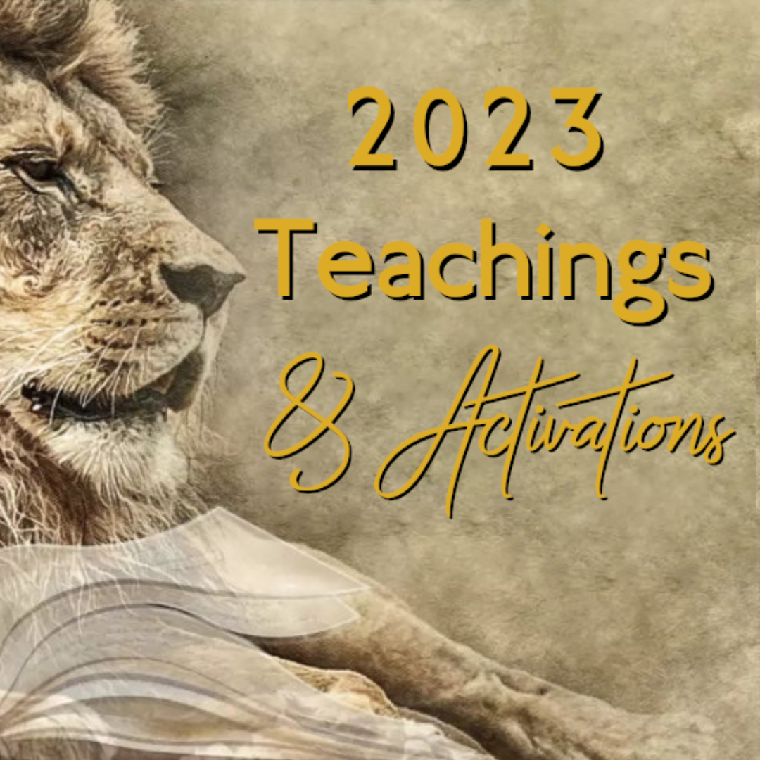 2023 – Live Mentorship Activations & Teachings