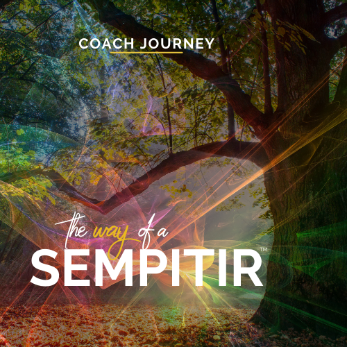 Coach Journey – Way of a Sempitir — Crew 1