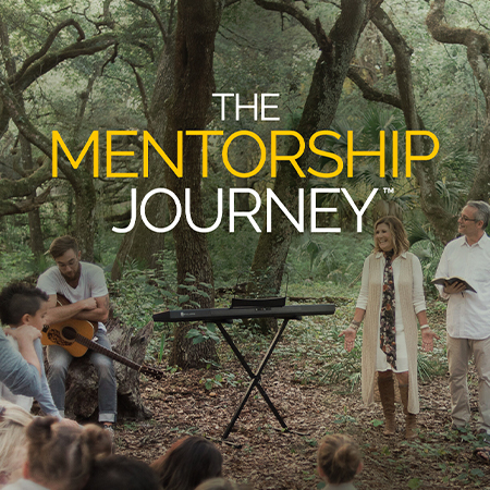 Mentorship Journey