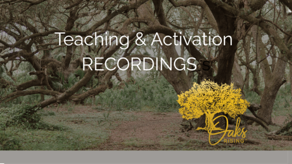 Live Mentorship Activations & Teachings