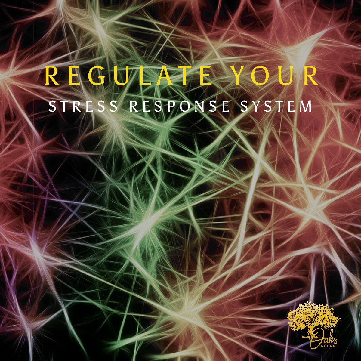 Regulate Your Stress Response System