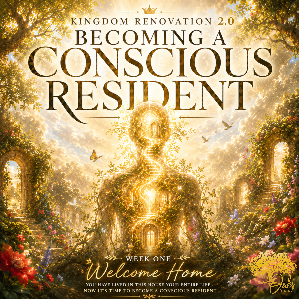 Kingdom Renovation 2.0 — Becoming a Conscious Resident